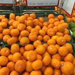 Цены в Макро-фуд на овощи, фрукты, мясо, рыбу, морепродукты.