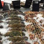 Цены в Макро-фуд на овощи, фрукты, мясо, рыбу, морепродукты.